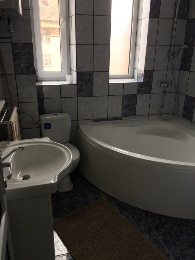 Apartmán Garsoniera Mandrilor Slănic Exteriér fotografie