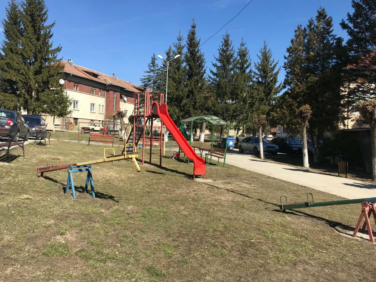 Apartmán Garsoniera Mandrilor Slănic Exteriér fotografie